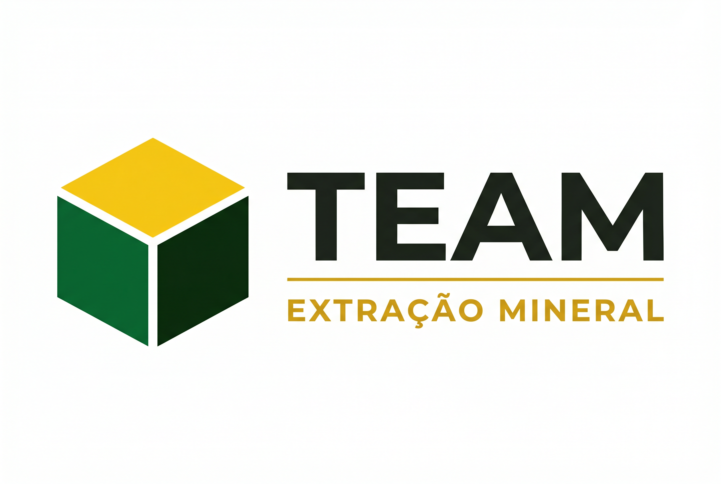 TEAM Extração Mineral
